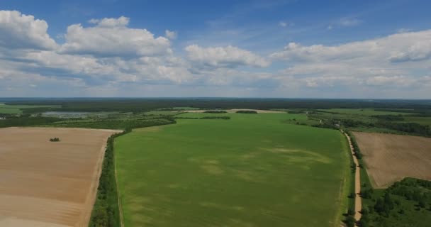 Vlucht over het groene veld — Stockvideo