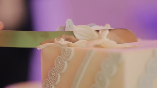 Detail van wedding cake snijden door pasgetrouwden bruidstaart — Stockvideo