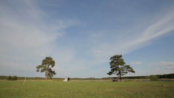 Поле с деревьями на фоне голубого неба — стоковое видео