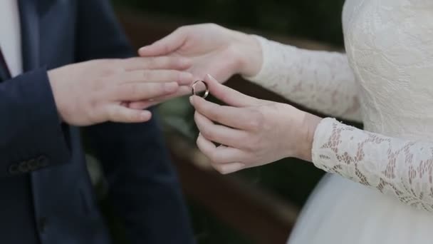 Hands of lovers who caress each other — Stock Video