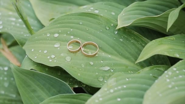 Anillos de boda girando con fondo texturizado — Vídeo de stock