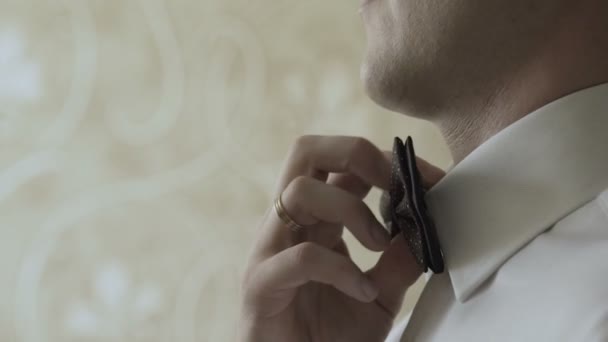 A man straightens a butterfly around his neck — Stock Video