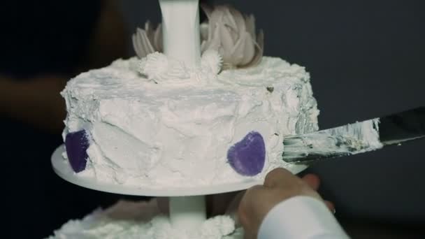 Détail de la coupe de gâteau de mariage par les jeunes mariés gâteau de mariage — Video