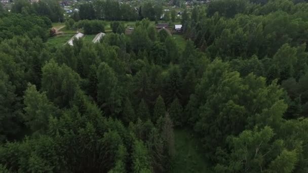Flug über den Wald mit einem See — Stockvideo