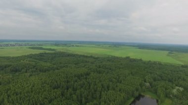 Bir göl ile orman üzerinde uçuş