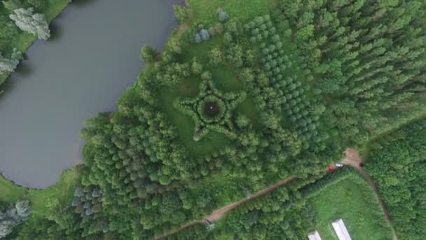 Survol de la forêt avec un lac — Video