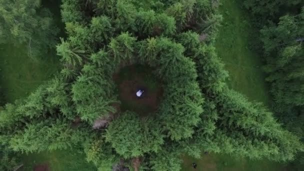 Bir göl ile orman üzerinde uçuş — Stok video