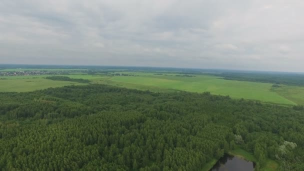 Flight over the forest with a lake — Stock Video