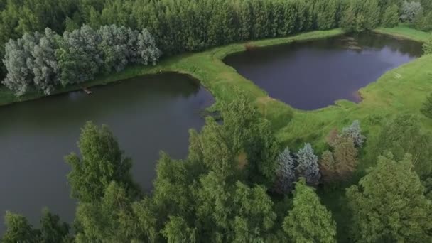 Полет над лесом с озером — стоковое видео