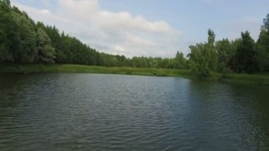 Bir göl ile orman üzerinde uçuş