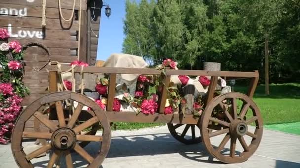 El arreglo de las flores en el lugar de la boda — Vídeo de stock