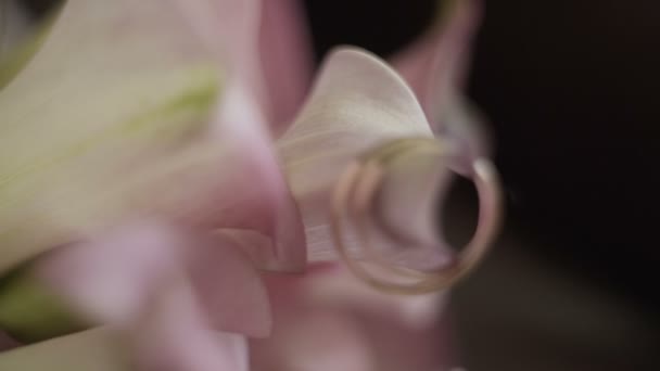 Anelli nuziali su fiori vivi primo piano — Video Stock