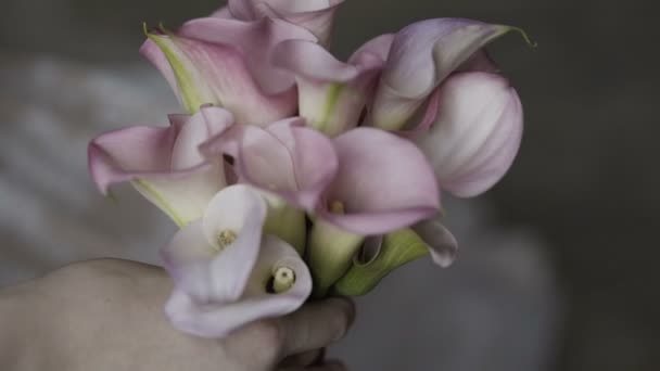 Svatební kytice z rudých růží — Stock video