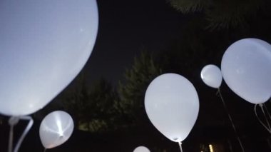 Balonlar gece gökyüzüne uçan