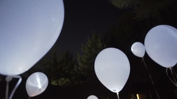 Ballons volants dans le ciel nocturne — Video