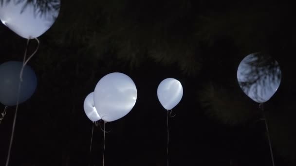 Ballons fliegen am Nachthimmel — Stockvideo