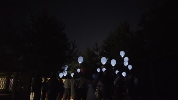 Ballonnen bij nachtelijke hemel vliegen — Stockvideo