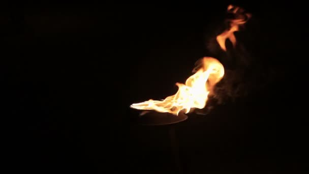 The fire burns on a black background — Stock Video