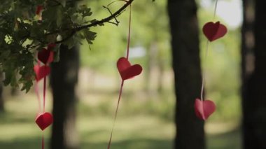 Açık güneşli bir ağaç üzerindeki kırmızı kalpler