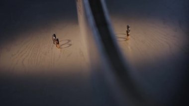 Alyans homojen bir arka plan üzerinde