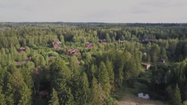 Hava dron görüntüleri İzlenme: Ormanlar, çayırlar ve gün batımı yumuşak ışık tepelerde ile sonbahar Dağları uçuş. Avrupa. Görkemli manzara. Güzellik dünya. 4 k çözünürlük.