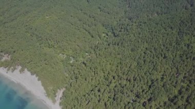 Uçuş vahşi plaj üzerinde. Dağlar ve kayalıklarla