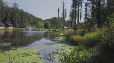 Hava dron görüntüleri İzlenme: Ormanlar, çayırlar ve gün batımı yumuşak ışık tepelerde ile sonbahar Dağları uçuş. Avrupa. Görkemli manzara. Güzellik dünya. 4 k çözünürlük.
