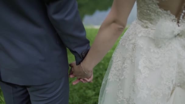 Joven pareja amorosa cogida de la mano, abrazos y besos — Vídeo de stock