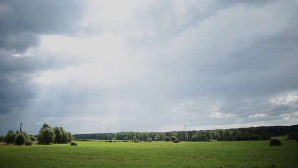 Bonito prado verde com céu azul em um dia ensolarado brilhante — Vídeo de Stock