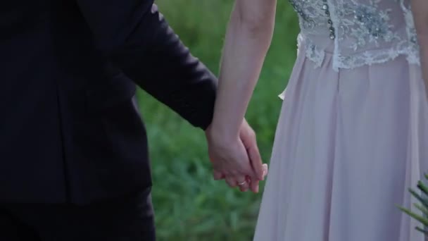 Tineri dragoste cuplu holding hands, îmbrățișare și sărutat — Videoclip de stoc