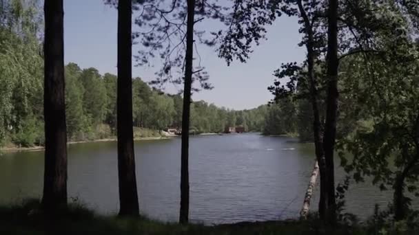 Вид на озеро с берега — стоковое видео