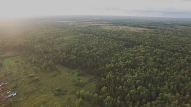 Drone Footage Flygfoto: Flygning över höstens berg med skogar, ängar och kullar i solnedgången mjukt ljus. Europa. Majestätiska landskap. Skönhet i världen. 4 k-upplösning. — Stockvideo