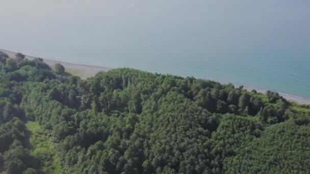 野生のビーチ以上フライト。山と崖 — ストック動画