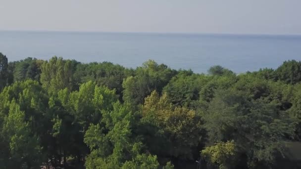 Vista aérea del dron: Vuelo sobre montañas otoñales con bosques, prados y colinas en la luz suave puesta de sol. Europa. Paisaje majestuoso. Mundo de belleza. Resolución 4K . — Vídeos de Stock