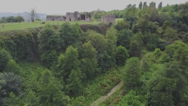 Drone beelden luchtfoto: Vlucht over herfst bergen met bossen, weiden en heuvels in zonsondergang zacht licht. Europa. Majestueuze landschap. Schoonheid wereld. 4 k-resolutie. — Stockvideo