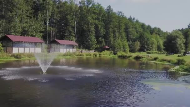 Drone кадри пташиного польоту: Політ над осінніх Гор з ліси, луки, пагорби в sunset м'яке світло. Європи. Величний пейзаж. Світі краси. 4 k роздільна здатність. — стокове відео