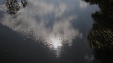 Gölün kıyıdan görünümünü