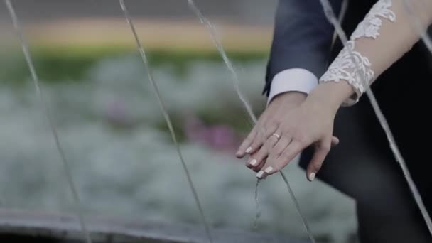 年轻的情侣牵着手, 拥抱和亲吻 — 图库视频影像