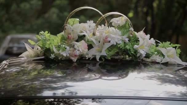 Anillos de boda en un cojín para anillos — Vídeo de stock
