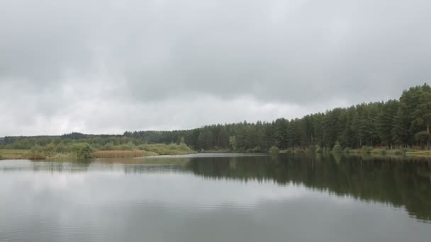 उन्हाळ्यात तलाव. स्वीडन मध्ये सुंदर तलाव . — स्टॉक व्हिडिओ