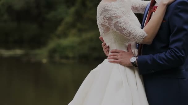 Los recién casados se abrazan — Vídeo de stock