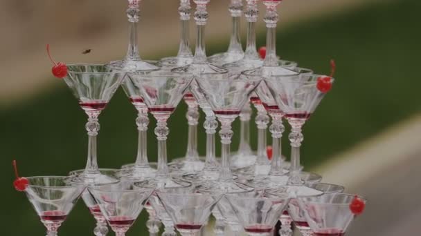 Pyramide de verres à champagne avec liqueur — Video