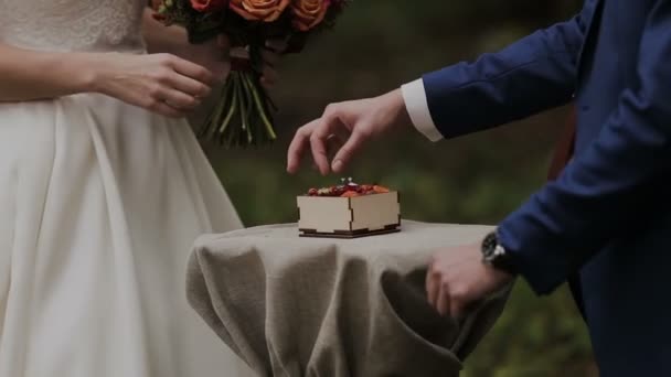 O noivo usa um anel para a noiva — Vídeo de Stock