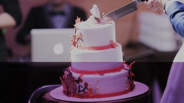 En blå Bandad bröllopstårta — Stockvideo