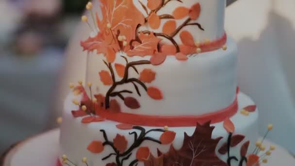 A blue banded wedding cake — Stock Video
