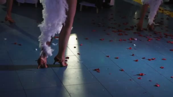 Benen av en dansare med fjädrar på hennes axlar med måtta — Stockvideo