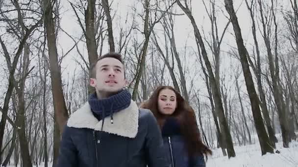 Chico y chica en invierno en parque — Vídeo de stock