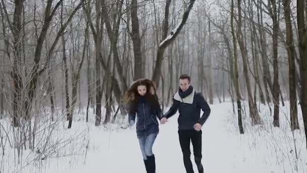 Chico y chica en invierno en parque — Vídeos de Stock