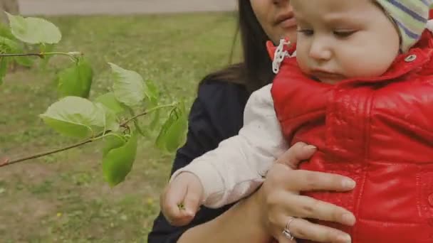 Mamma går med barnet på en vacker solig dag — Stockvideo