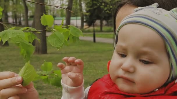 Мама гуляет с ребенком в прекрасный солнечный день — стоковое видео